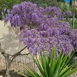 La Bastide De Peyremale - D'hotes Bagard