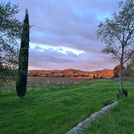 Bed & Breakfast La Bastide De Peyremale - D'hotes Bagard