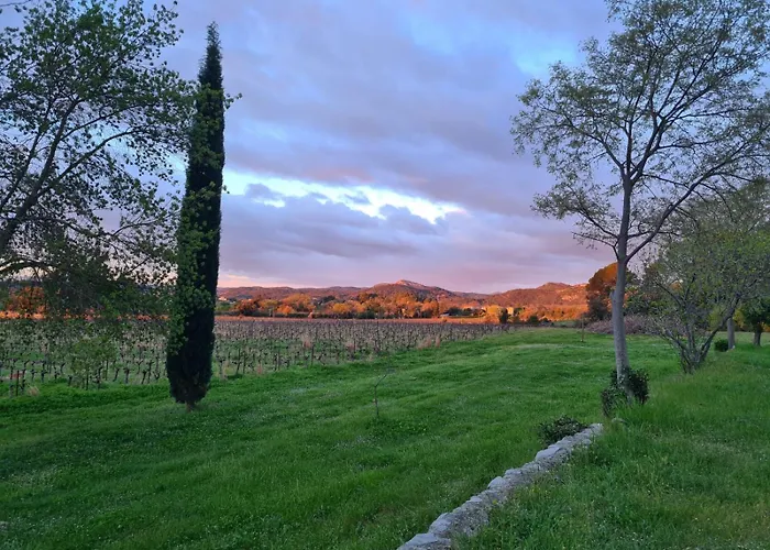 Bed & Breakfast La Bastide De Peyremale - D'hotes Bagard