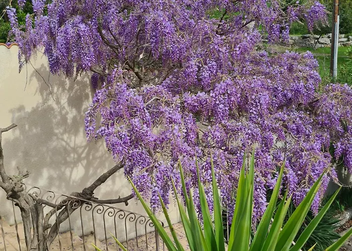 La Bastide De Peyremale - D'hotes Bagard