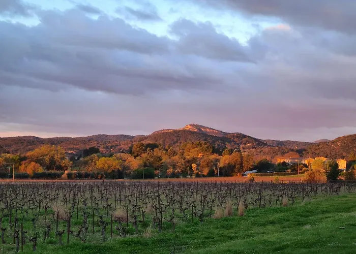 La Bastide De Peyremale - D'hotes Bagard